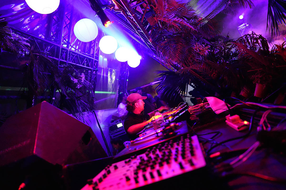 Hasvat Informant, Organik Festival