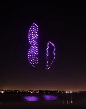 A photo of a drone light performance. They make up purple glowing shapes in the night sky.