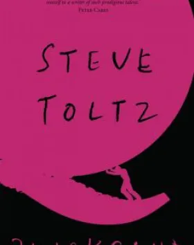 Quicksand – Steve Toltz