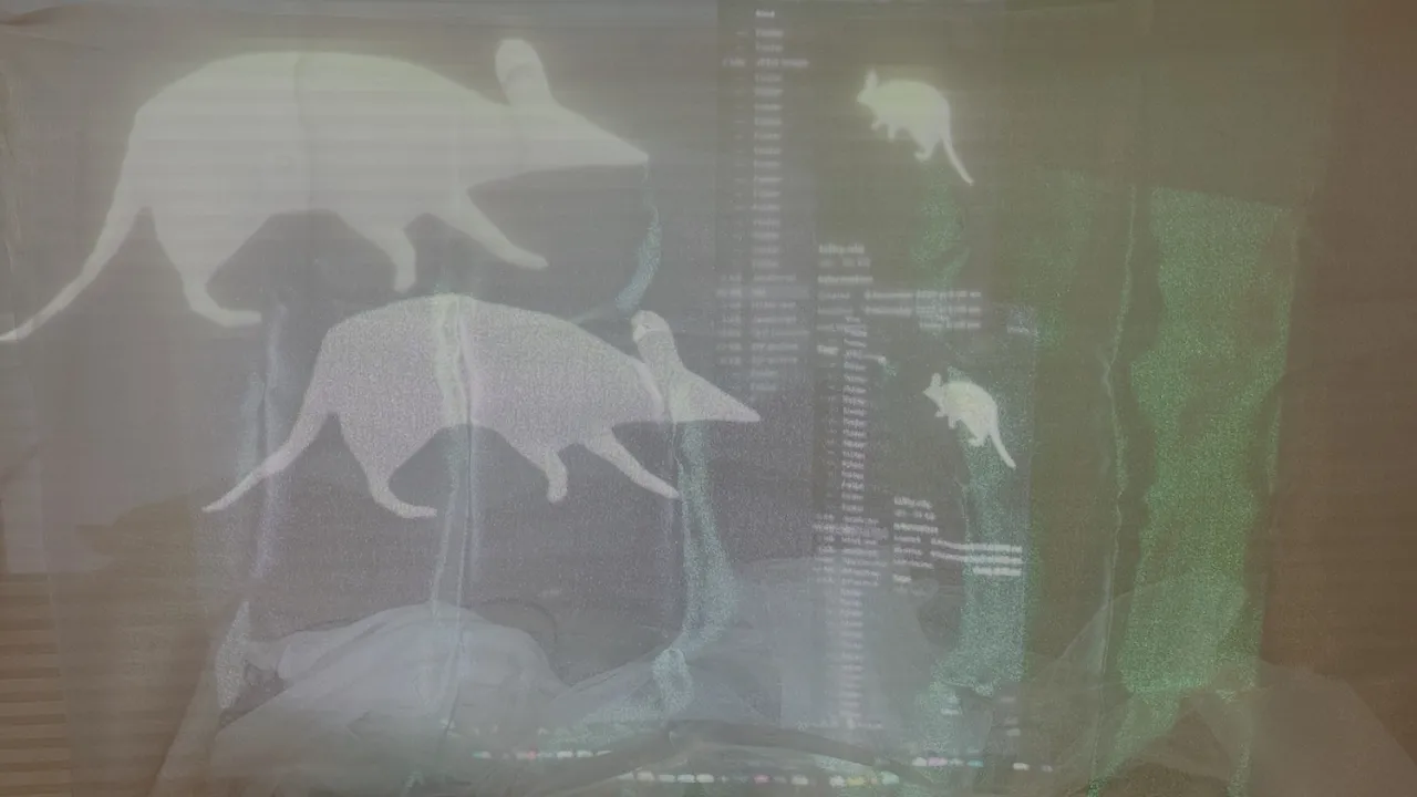 Invisible art space projection