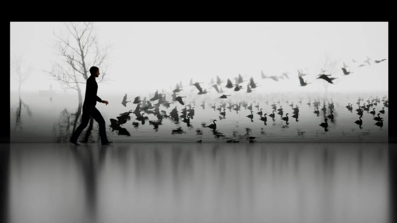 Previous ILA Artist in Residence, Nick DeBoar - BIRDS