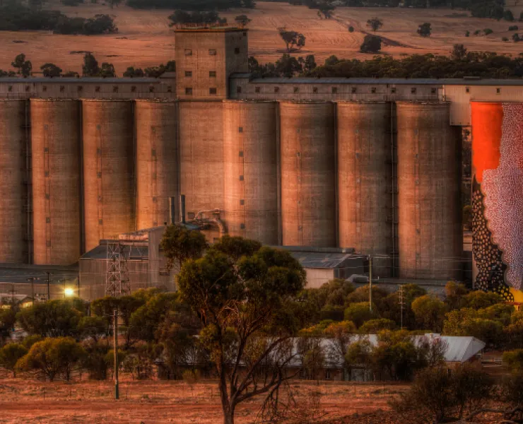 Phlegm & Hense for PUBLIC Silo Trail. Northam, 2015. 
