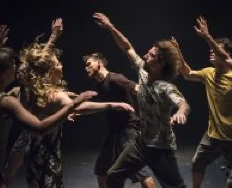 Dancenorth-Attractor