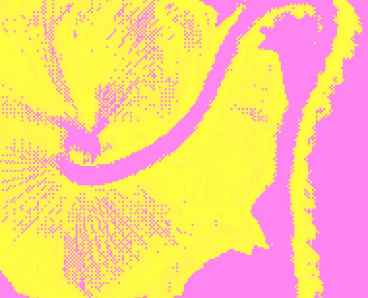 Yellow graphic flower against pink background