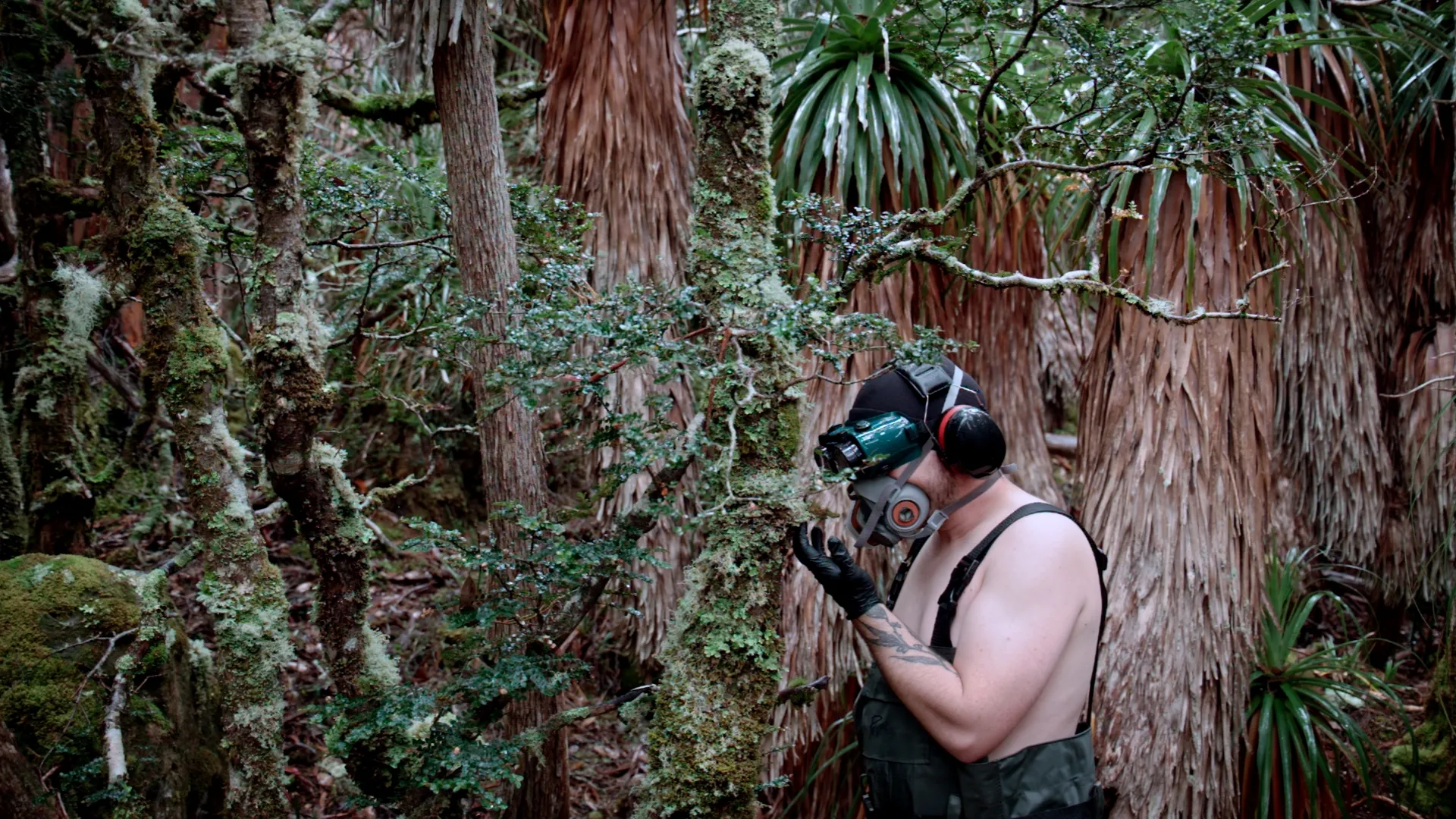 A photo of someone standing in a rainforest, wearing binoculars and overalls, staring very intently at a leaf.